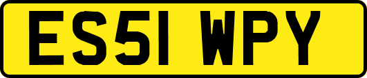 ES51WPY