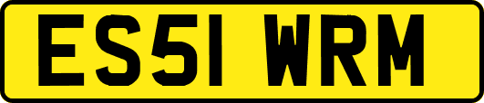 ES51WRM