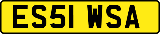 ES51WSA