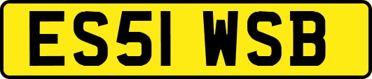 ES51WSB