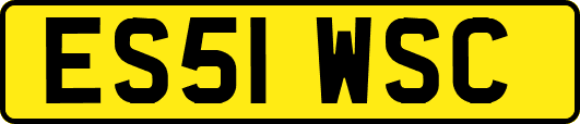 ES51WSC