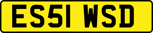 ES51WSD