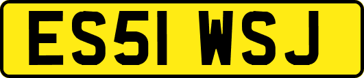 ES51WSJ