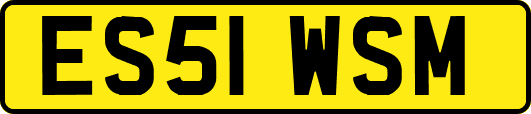 ES51WSM