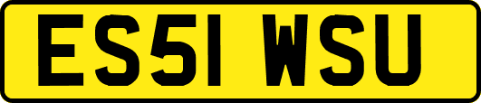 ES51WSU