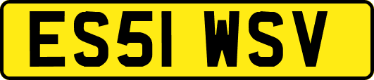 ES51WSV