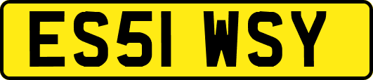 ES51WSY