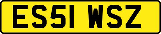 ES51WSZ