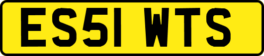 ES51WTS
