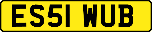 ES51WUB