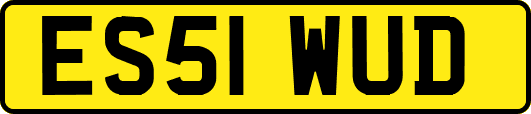 ES51WUD
