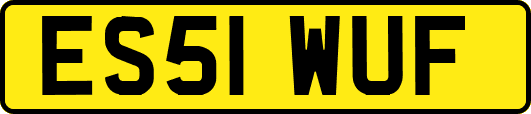 ES51WUF