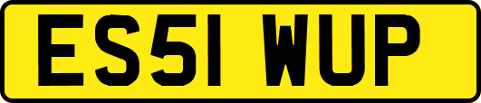 ES51WUP