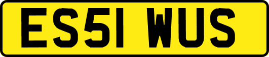 ES51WUS