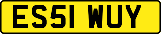 ES51WUY