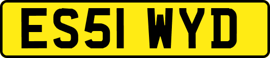 ES51WYD