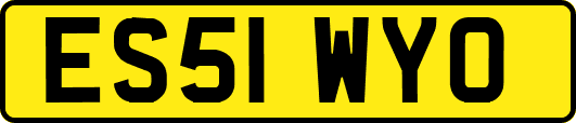 ES51WYO