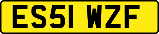 ES51WZF