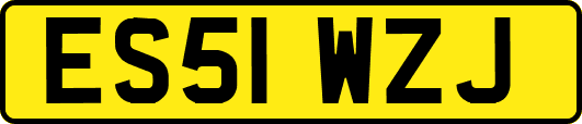 ES51WZJ
