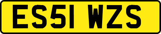 ES51WZS