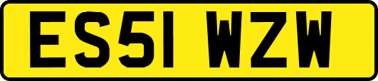 ES51WZW