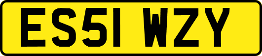 ES51WZY