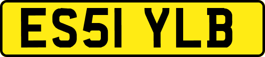 ES51YLB