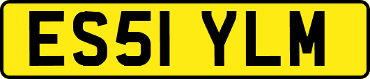 ES51YLM