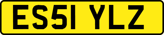 ES51YLZ