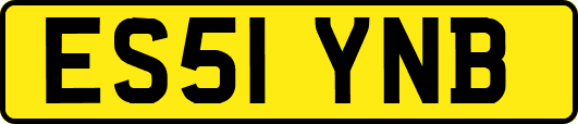 ES51YNB