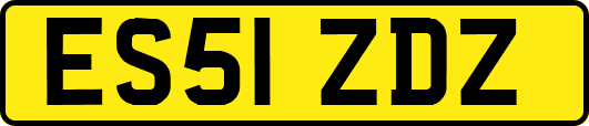 ES51ZDZ