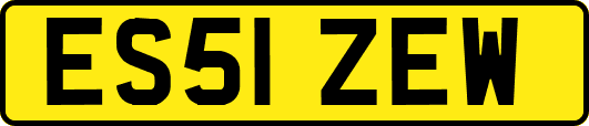 ES51ZEW