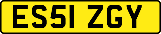 ES51ZGY