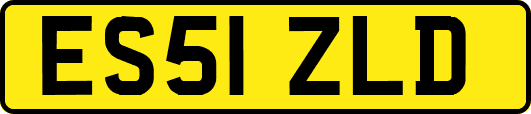 ES51ZLD