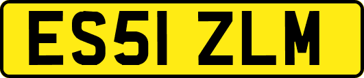 ES51ZLM