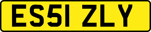 ES51ZLY
