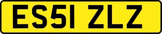 ES51ZLZ