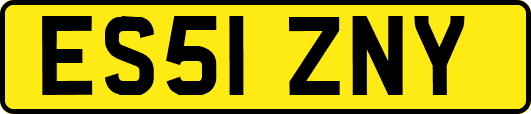 ES51ZNY