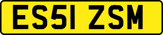 ES51ZSM