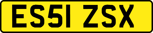 ES51ZSX