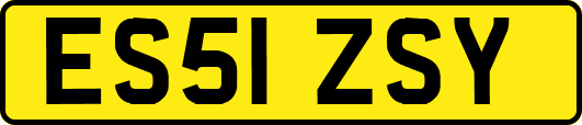 ES51ZSY
