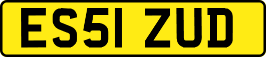 ES51ZUD