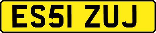 ES51ZUJ