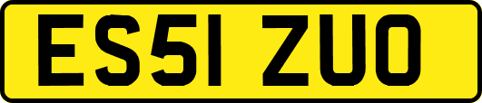 ES51ZUO