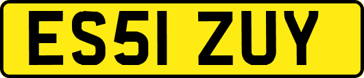 ES51ZUY