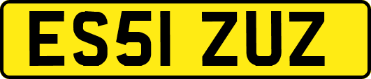 ES51ZUZ