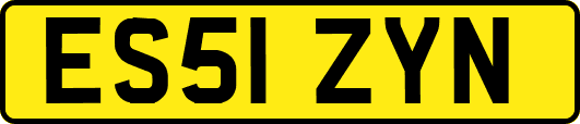 ES51ZYN