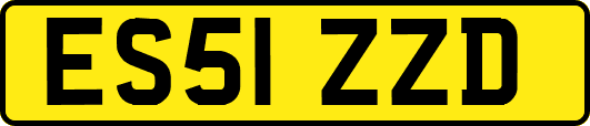 ES51ZZD