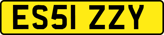 ES51ZZY
