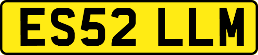 ES52LLM